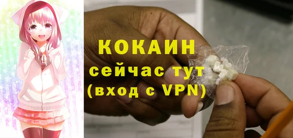 винт Нягань