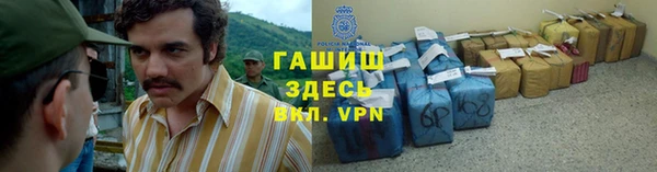 шишки Няндома