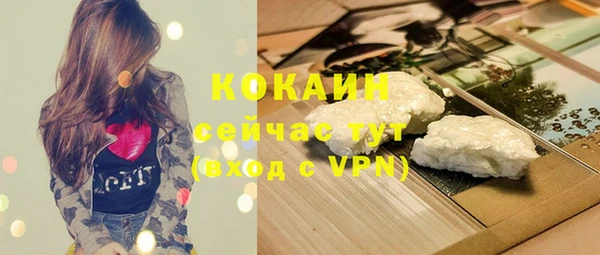 молекула духа Абинск