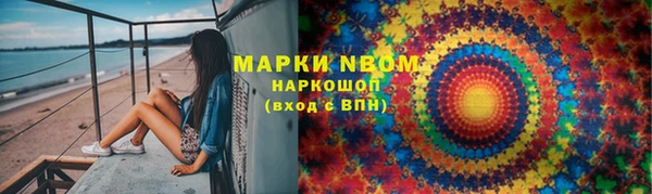 крисы Алзамай