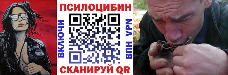 купить Чебоксары Псилоцибиновые грибы Cubensis