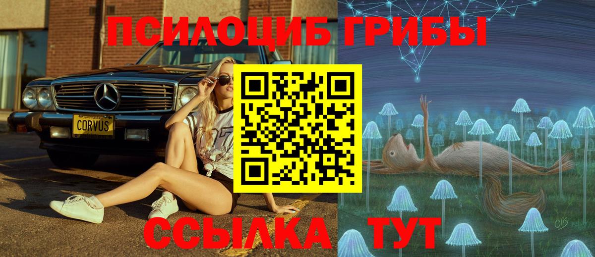 Псилоцибиновые грибы прущие грибы  Вход с VPN  Чебоксары 