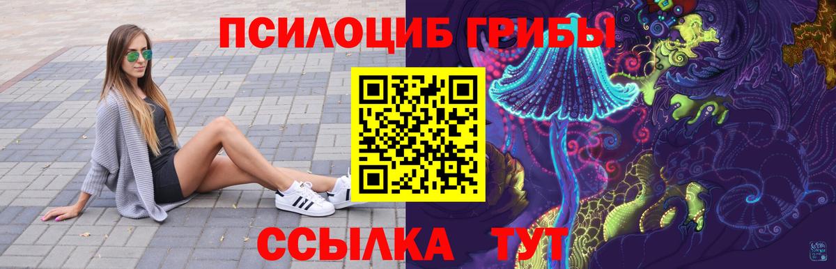 Псилоцибиновые грибы Psilocybe Чебоксары